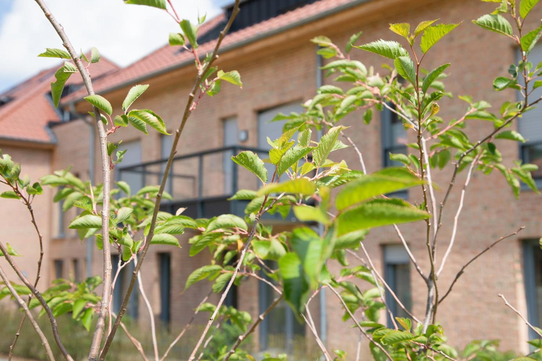 Wohnen Am Suedstrand - Ferienwohnung 1 1 Wyk auf Föhr Exterior foto