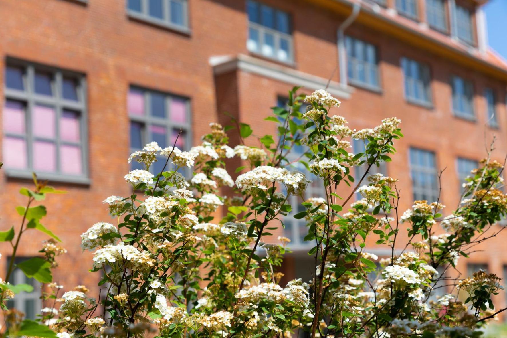 Wohnen Am Suedstrand - Ferienwohnung 1 1 Wyk auf Föhr Exterior foto